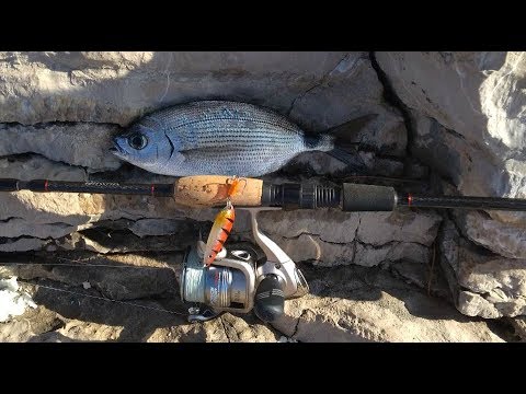 Видео: Рыбалка в Черногории.Часть3. Ну наконец-то...поймал таки)))