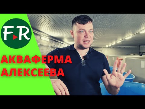 Видео: АкваФерма Антона Алексеева. Выращивание осетровых в УЗВ. Аквакультура и Роспотребнадзор