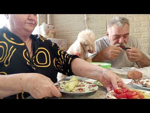 Видео: Мышка погрызла хлеб.