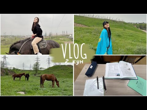 Видео: VLOG: ИППОДРОМ🐎МЕКТЕПТЕГІ СОҢҒЫ АЙЛАР🏫