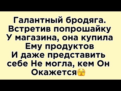 Видео: Благородный попрошайка