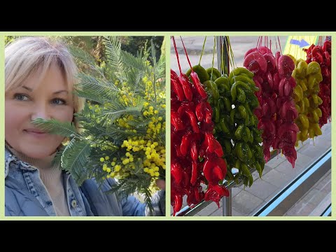 Видео: Адлер Весной 🌿Заселение в отель Portobello .Обзор номера Завтрак шведская линия, Прогулка,Покупки 🛍️