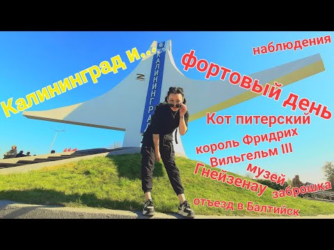 Видео: Калиниград и Берег Балтики с Котом. Не напряжно о 3 дне (форты,шутки и отъезд в Балтийск)