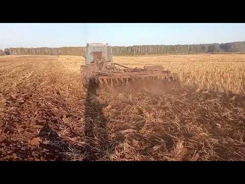 Видео: ДТ-75М с переделанной БДТ-3. Дискование стерни. Немного Философии в поле)))