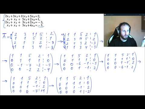 Видео: Системы линейных уравнений. Запись консультации