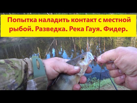 Видео: Попытка наладить контакт с местной рыбой. Река Гауя. Фидер. Fīders. Gauja.