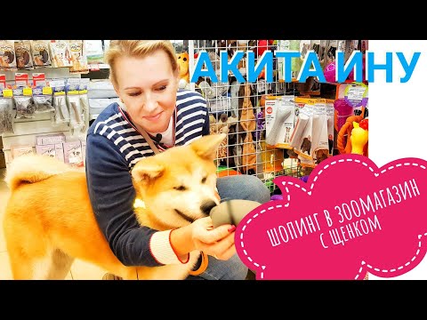 Видео: Шопинг. В зоомагазин с щенком Акита Ину. Покупки для собаки.