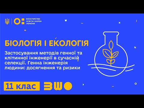 Видео: 11 клас. Біологія і екологія. Застосування методів генної та клітинної інженерії в сучасній селекції