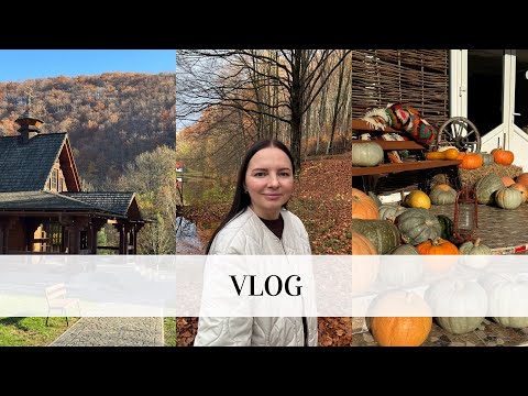 Видео: Пережили стрес😣 Ферма в селі на Закарпатті 🐇Останні дні відпочинку🍂