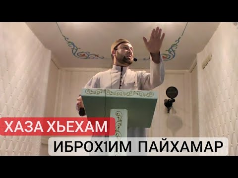 Видео: Хьехам (Дал т1е болх биллар)