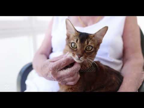 Видео: Сидит на кушетке старушка. #старость