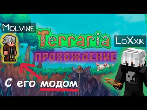 Видео: 🔴СТРИМ! ПРОХОЖДЕНИЕ ТЕРРАРИИ С МОДОМ МОЛВИНА | Молвин | Terraria