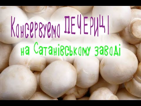 Видео: Цікаво КОНСЕРВУЮТЬ ПЕЧЕРИЦІ на Сатанівському заводі