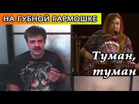 Видео: Туман на губной гармошке