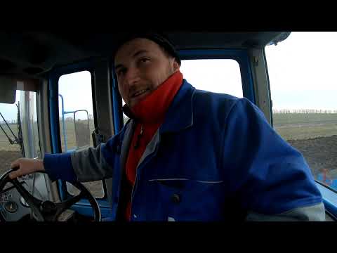 Видео: ХТЗ 17221 рыхлит, Т 150 пашет. Франк и Плуг ПСКУ 5... тест драйв ХТЗ.