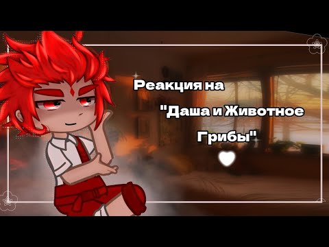 Видео: •Реакция на- "Даша и Животное- Грибы"•