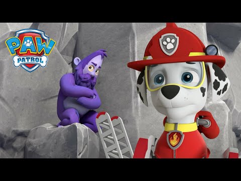 Видео: Маршал спасява Хъмкуоч от опасна скала! - PAW Patrol Bulgarian - карикатури за деца