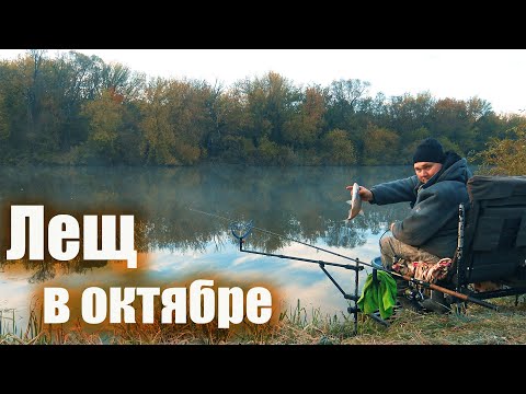 Видео: Рыбалка в октябре на фидер на реке Дон
