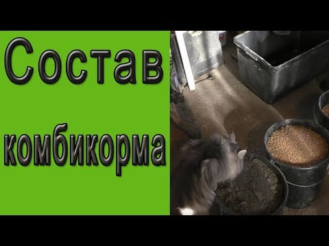 Видео: Ещё раз о комбикорме. Состав комбикорма