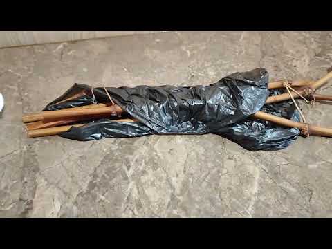 Видео: Як зберегти живці до весни