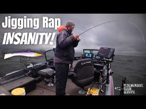 Видео: Осеннее безумие кормления судака (плюс СЕКРЕТЫ джиг-рэпа)