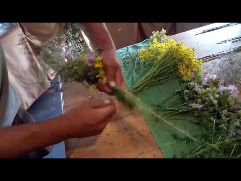 Видео: СТВОРЮЄМО ДЕКОРАТИВНИЙ ВІНОК 🌼💮ДЕКОР З ЛУГОВИХ ТРАВ ТА КВІТІВ ВЛАСНИМИ РУКАМИ🌼 💮