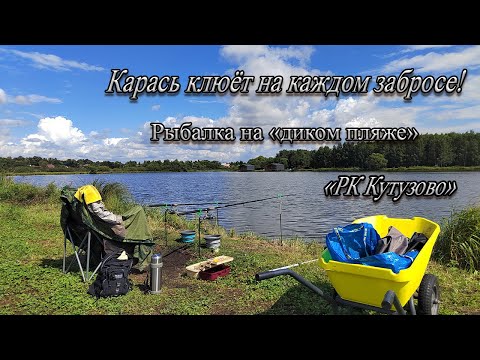 Видео: Карась клюёт на каждом забросе! Рыбалка мечты на диком пляже в "РК Кутузово"!