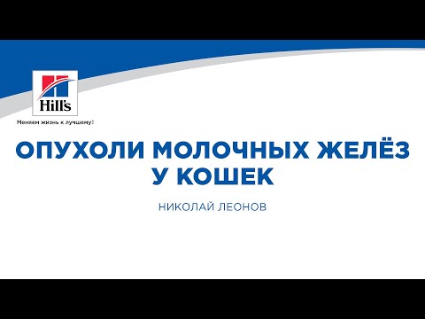 Видео: Вебинар на тему: "Опухоли молочных желёз у кошек. Опыт ведения пациентов". Лектор - Николай Леонов.