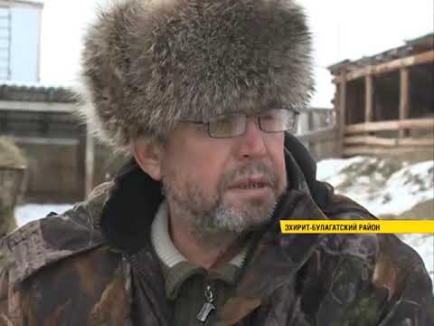 Видео: «Люди труда»: фермер Виктор Катанаев