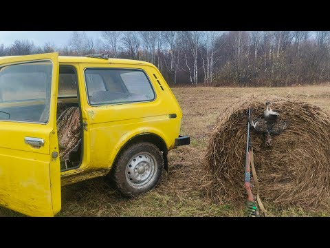 Видео: Бобр курва😡 Пошый үкерә😱😱