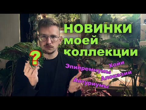 Видео: Обзор новинок в моей коллекции!