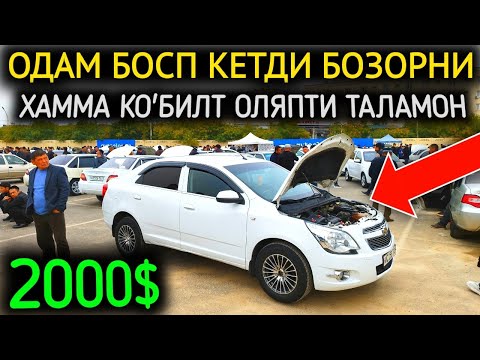 Видео: 28-ОКТЯБР КО'БИЛТ НАРХЛАРИ 2024.ОДАМ БОСТИ БОЗОРНИ 2000$💥КОБИЛТЛАР,ТАЛАМОН.АНДИЖОН МОШИНА БОЗОР 2024