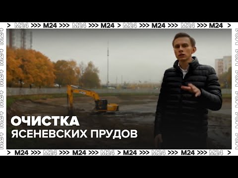 Видео: Очистка Ясеневских прудов: как в Москве обновляют 19 водоёмов за одно лето