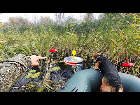 Видео: В ЭТИХ ЗАРОСЛЯХ ПОЛНО ЩУКИ. Рыбалка на кружки.