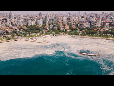 Видео: Мерзкая слизь на турецких курортах: Мраморное море спасают от экокатастрофы