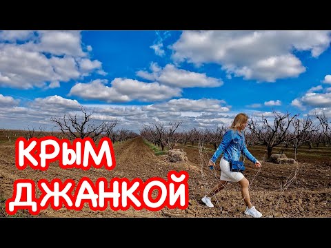 Видео: КРЫМ Джанкой: что творится здесь? Копают, строят. Персиковые сады цветут // Джанкойский район