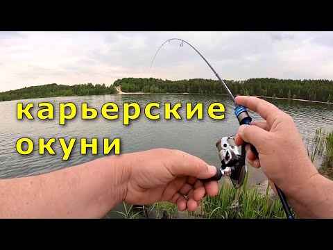 Видео: Рыбалка на карьере . Окуни на мормышку .