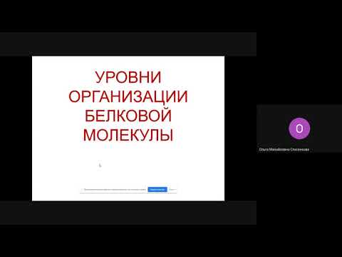 Видео: БХ_СпасенковаОМ_1