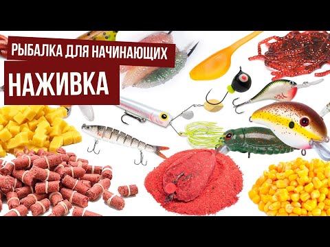 Видео: Наживка \ Рыбалка для начинающих