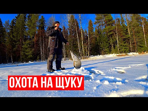 Видео: ЗА ЩУКОЙ НА ЛЕСНОЕ ОЗЕРО. ПОИСК И ТАКТИКА ЛОВЛИ. Рыбалка на балансиры, вибы, блесну и безмотылку