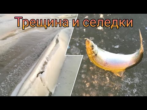 Видео: Поиски селедки в Тавричанке. Зимняя рыбалка в Приморье.