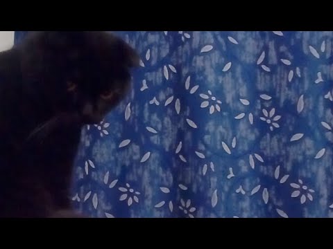 Видео: Его Мысли О Вас Перед Сном