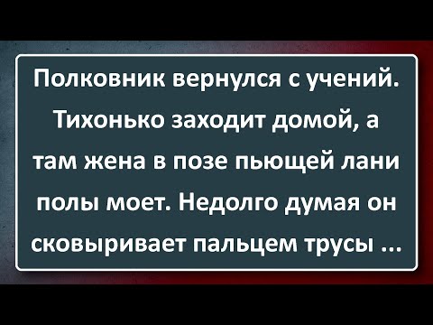 Видео: Полковник Вернулся с Учений и Застал Дома Жену! Подборка Лучших Анекдотов Синего Предела