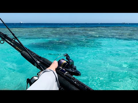 Видео: Долгожданная Рыбалка в Египте)