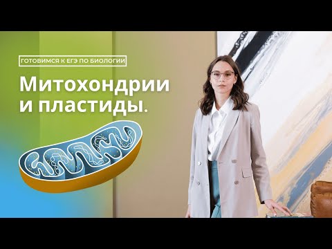 Видео: Митохондрии и пластиды. Готовимся к ЕГЭ по биологии.