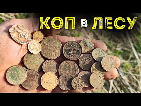 Видео: Коп монет 2024! Нашел в лесу старинные монеты Поиск монет в лесу с металлоискателем Deus