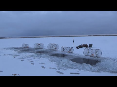 Видео: Рыбалка на Морды.Пошла ЖАРА в БАНЮ. ИдИ Плыви