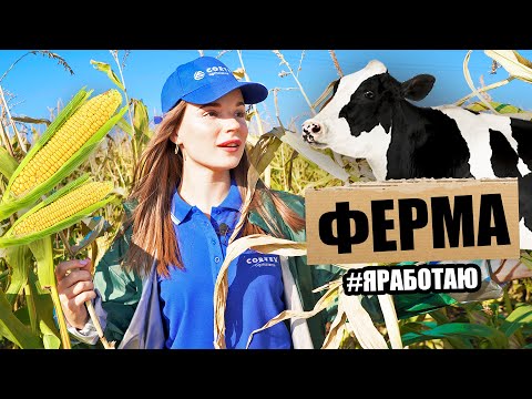 Видео: Один день работаю НА ФЕРМЕ | Саша Спилберг