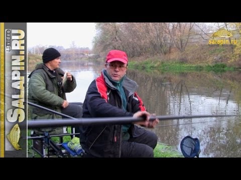 Видео: Ловля осенней плотвы штекерами вдвоем [salapinru]