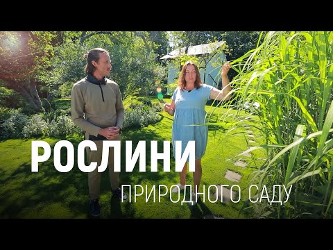 Видео: ЛАНДШАФТНИЙ ДИЗАЙН | СТВОРЮЄМО ПРИРОДНІЙ САД ВЛАСНОРУЧ